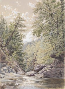 Catskill Clove in Palingsville, 1856. Creator: William Rickarby Miller.