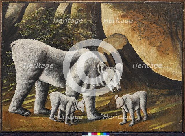 A she-bear with baby bears.