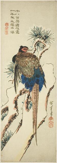 Pheasant on a Snow-Covered Pine Tree, mid-1830s. Creator: Ando Hiroshige.