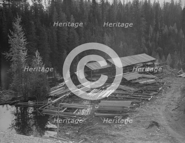 Small privately owned mill in the woods, recently discontinued, Mission Creek, Idaho, 1939 Creator: Dorothea Lange.