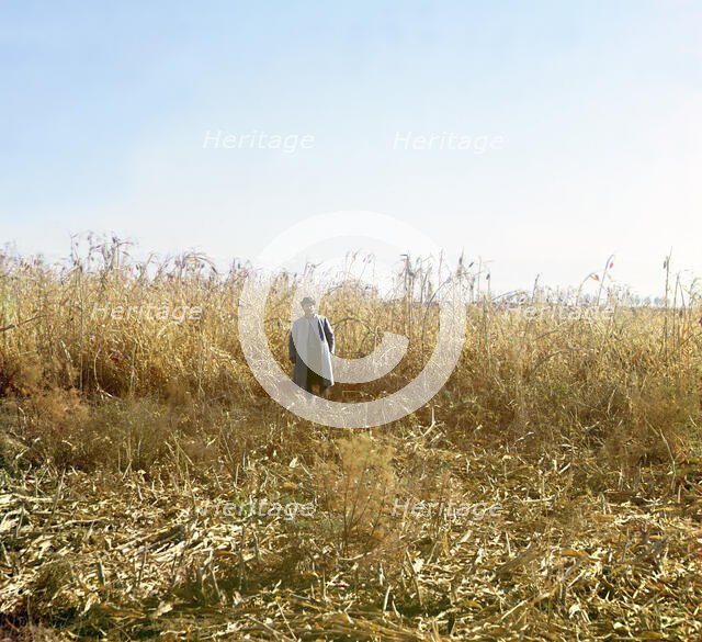 Dzhugara, Golodnaia Steppe, between 1905 and 1915. Creator: Sergey Mikhaylovich Prokudin-Gorsky.