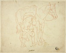 Man Adjusting Saddle on Horse, n.d. Creator: Unknown.