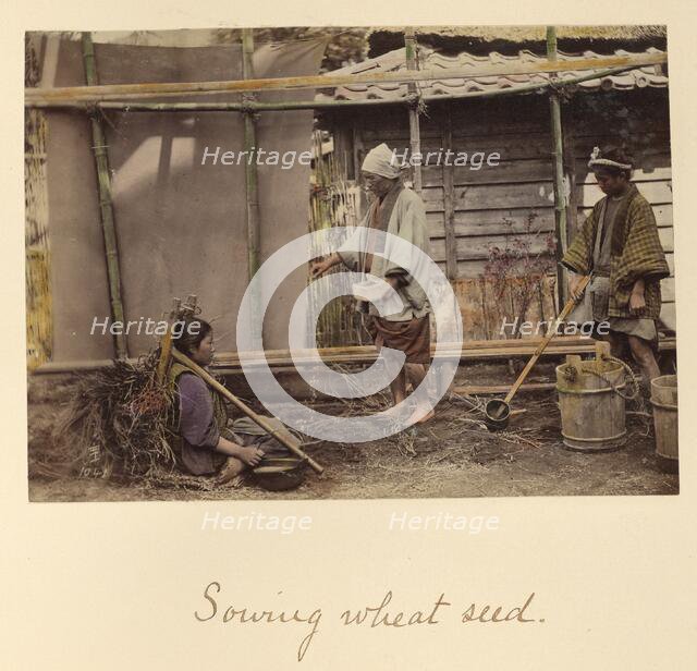 Sowing Wheat Seed, about 1873-1883. Creator: Shinichi Suzuki I.