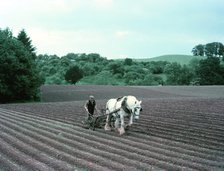 Harrowing on a farm in Worcestershire, c1955-1970. Creator: Arthur Charles Kirby Ware.