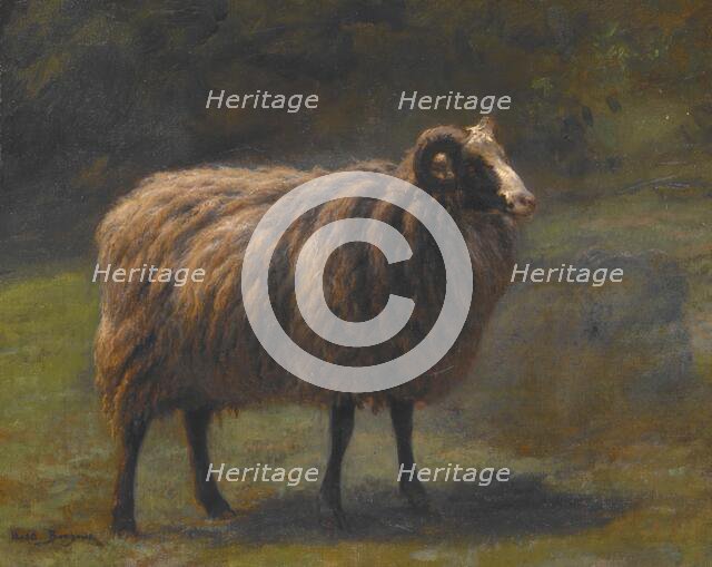 Ram, about 1845-1850. Creator: Rosa Bonheur.