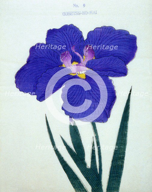 Gosetsu-No-Mai, No 9.