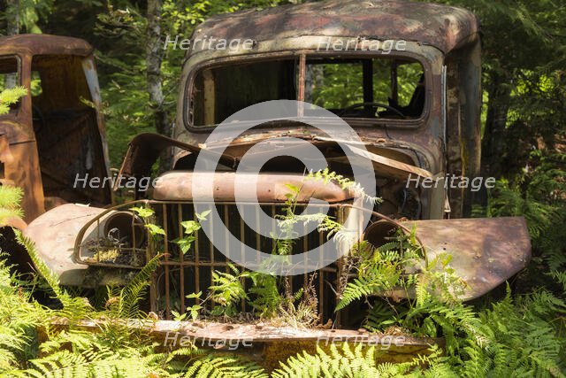 Gently Used. Creator: Joshua Johnston.