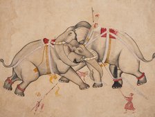 Elephant Combat, c1725. Creator: Unknown.