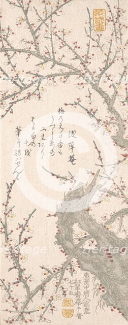 Plum Tree in Blossom, 1813. Creator: Kitao Shigemasa.