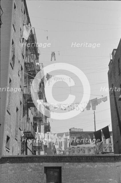 Apartment houses from the rear, 61st Street between 1st and 3rd Avenues, New York, 1938. Creator: Walker Evans.