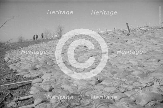 The Bessie Levee augmented with sand bags...1937 flood near Tiptonville, Tennessee, 1937. Creator: Walker Evans.