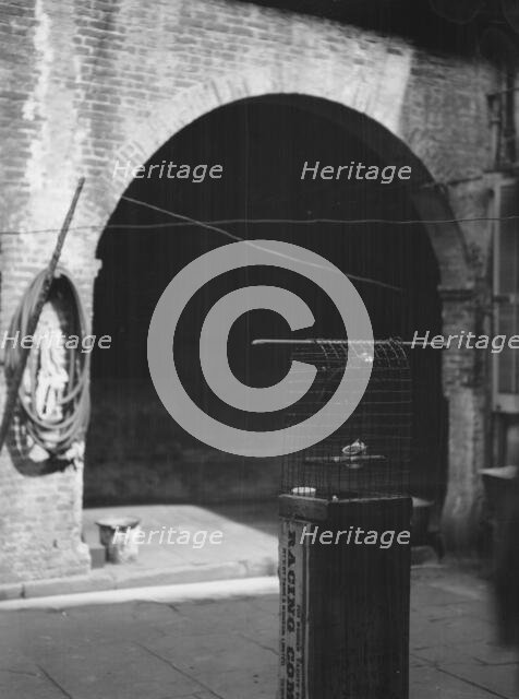 Courtyard, New Orleans, between 1920 and 1926. Creator: Arnold Genthe.