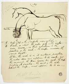 Sketch of Horse with Notations, n.d. Creator: Benjamin Robert Haydon.