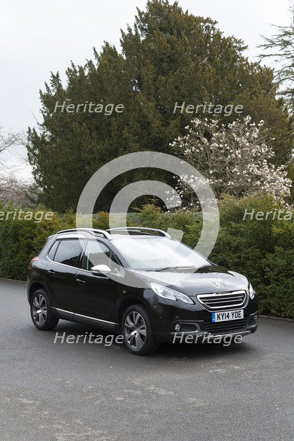 2014 Peugeot 2008 Hdi Feline Artist: Unknown.