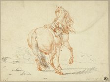 Riderless Horse, n.d. Creator: Unknown.